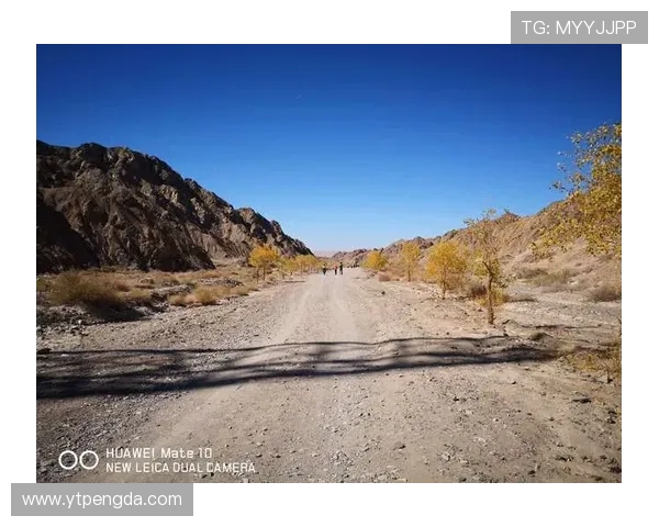 一场福马公路赛的冷幽默 从破三梦想跑到终点苦等两小时的体育故事
